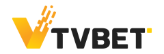 TVBET brand logo featured in the Timeless Tech iGaming Game Aggregator section