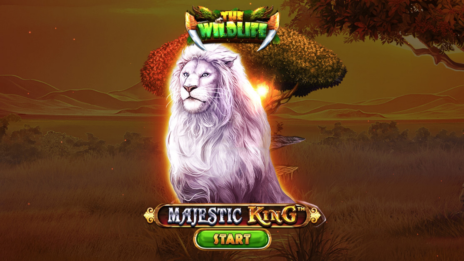 Majestic King Slot Welcome Screen - Step into the African Savanna Welcome screen of the Majestic King slot game by Spinomenal, featuring a majestic lion and African savanna setting.